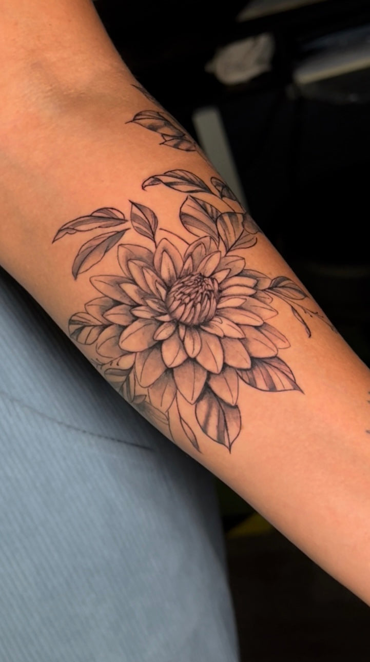 BOTANICAL
